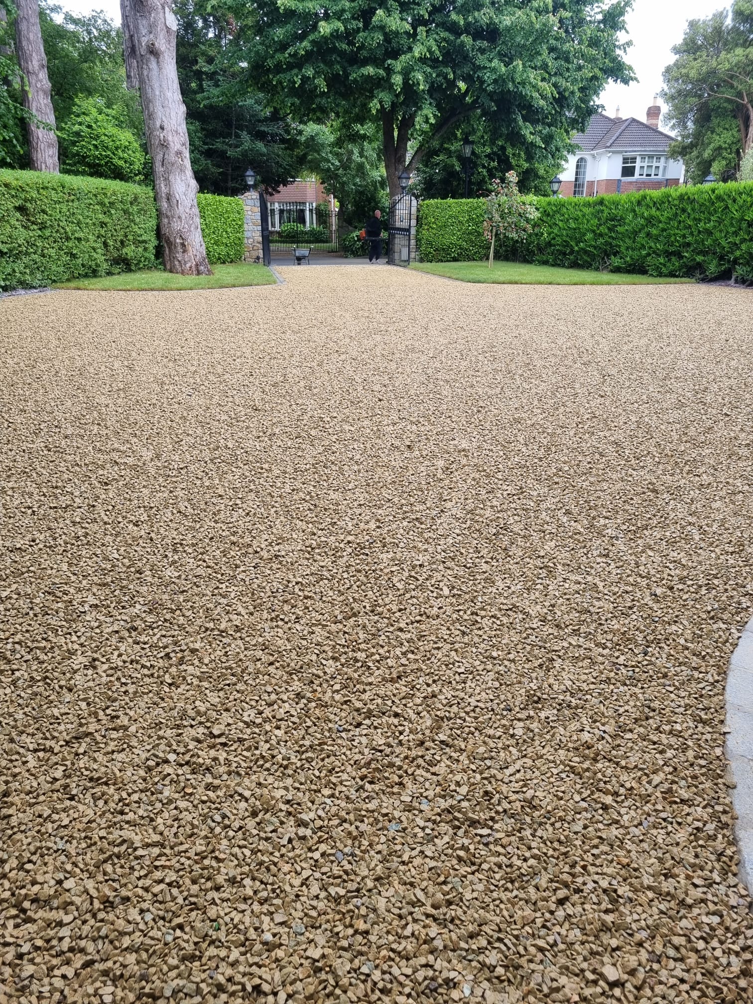 Golden gravel forecourt at a hedged country property