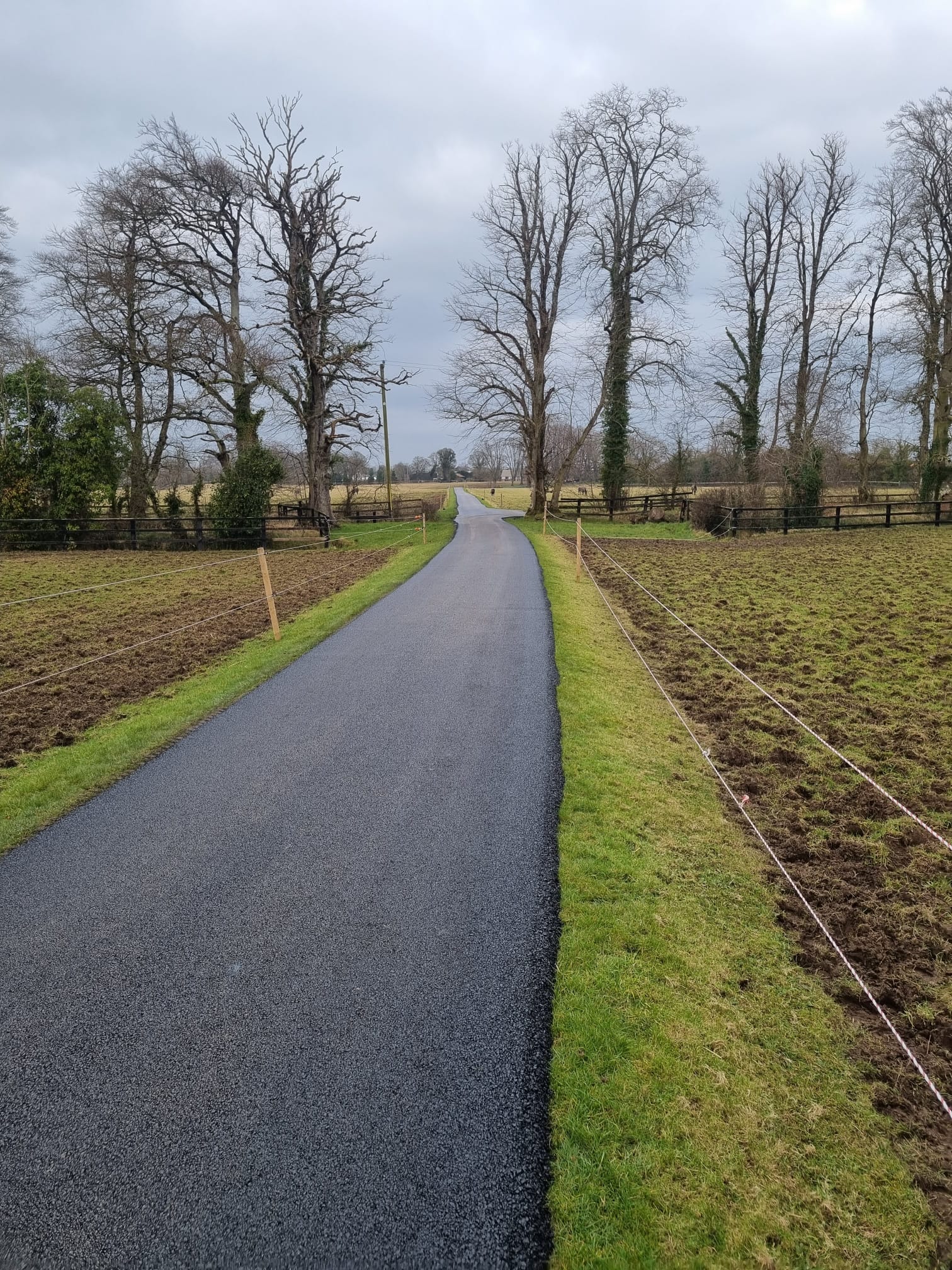 Long rural tarmac lane lined with mature hedging